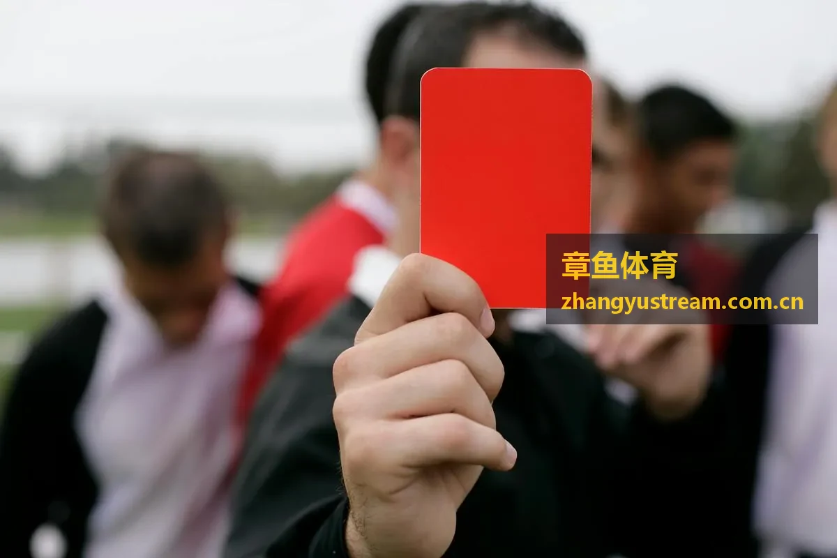 章鱼体育NBA东部决赛回放录像